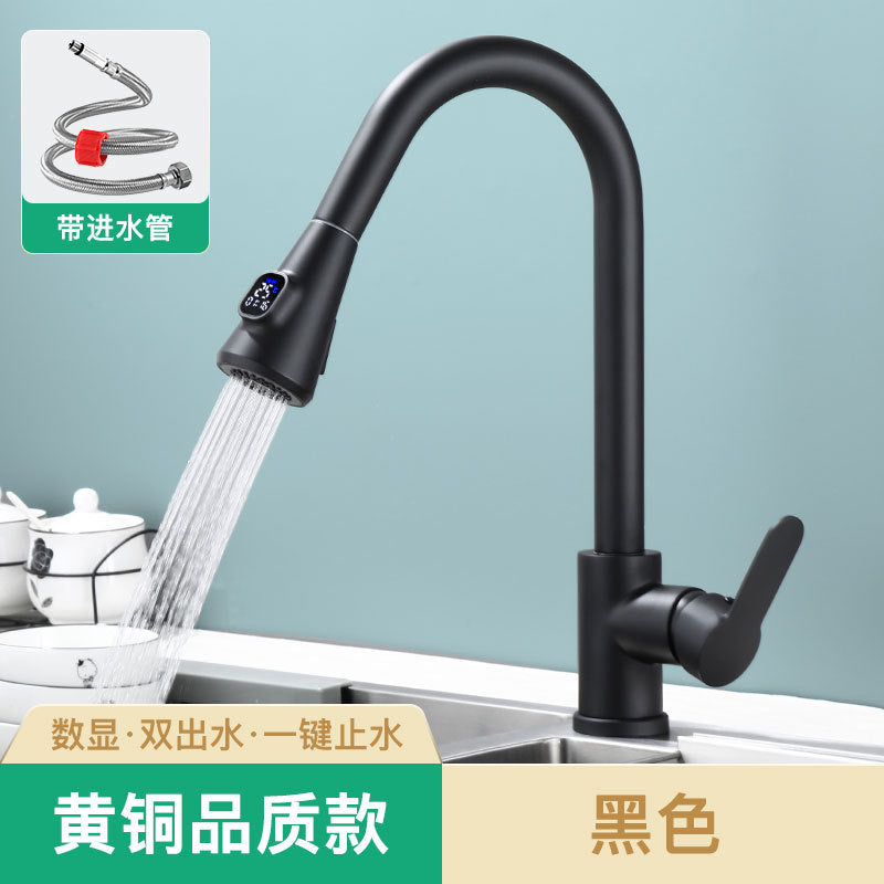 法奥卫浴304不锈钢抽拉厨房水龙头双出水冷热洗菜盆水槽水龙头